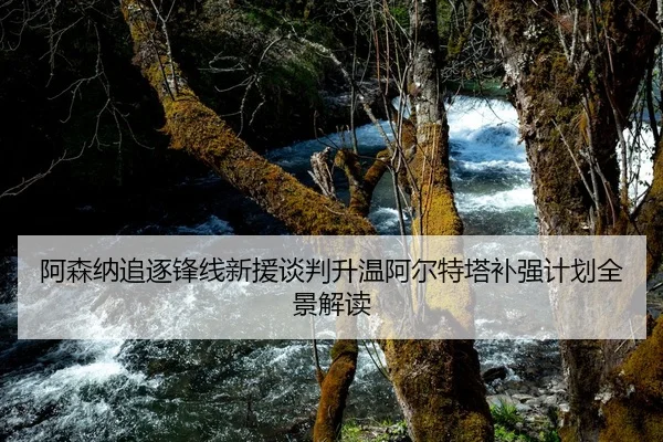 阿森纳追逐锋线新援谈判升温阿尔特塔补强计划全景解读
